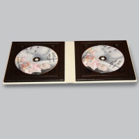 Изготовление подарочного бокса для CD/DVD на два диска