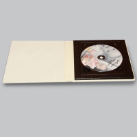 Изготовление подарочного бокса для CD/DVD на один диск