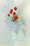 Постер цветы 0438
